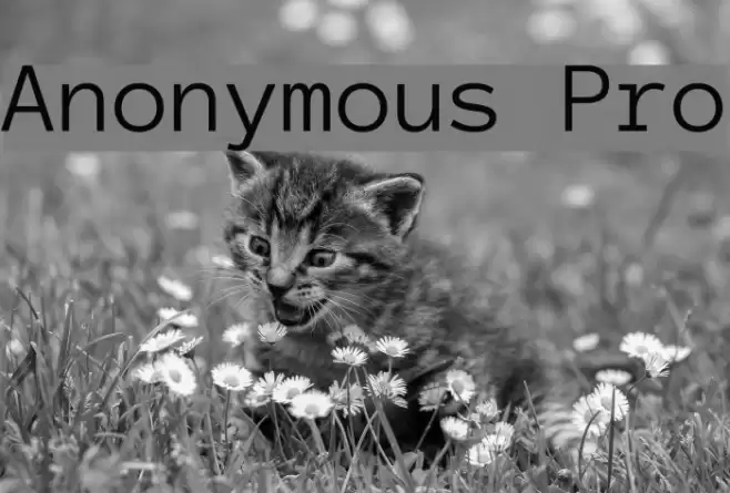 Anonymous Pro Font examples