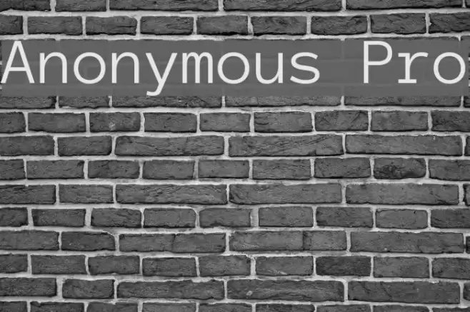 Anonymous Pro Font examples