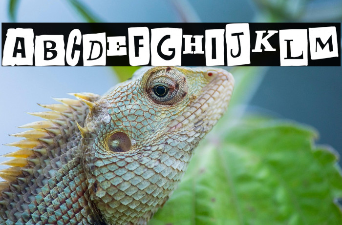 Anonymous Punk Example 1