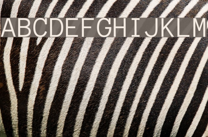 AnonymousRegular Font examples