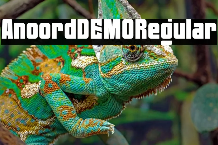 Anoord DEMO Regular Example 1