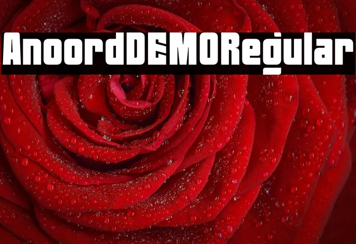 Anoord DEMO Regular Example 2