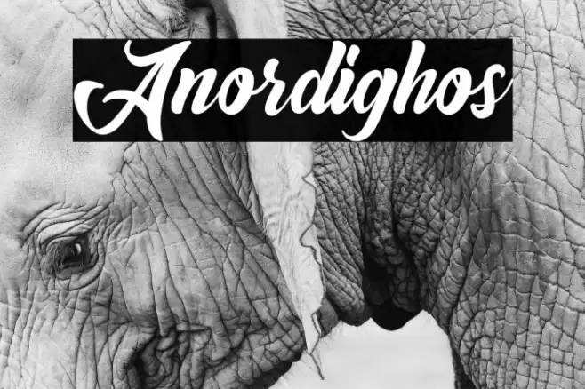 Anordighos Font examples