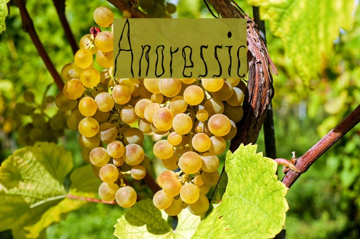 Anoressic Font examples