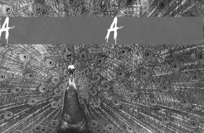 Another America Font examples