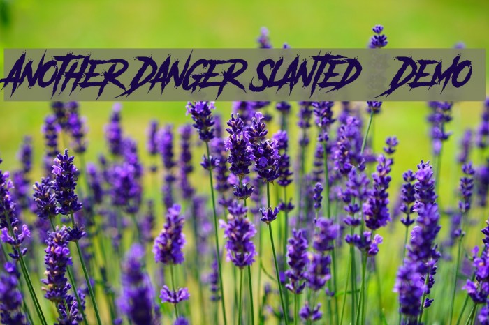 Another Danger Slanted - Demo Fonte examples