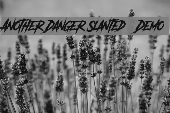 Another Danger Slanted - Demo Font examples