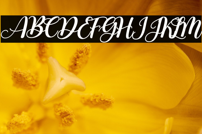 Another Day V2 Example 2