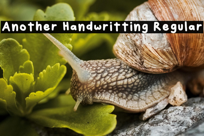 Another Handwritting Regular Example 2