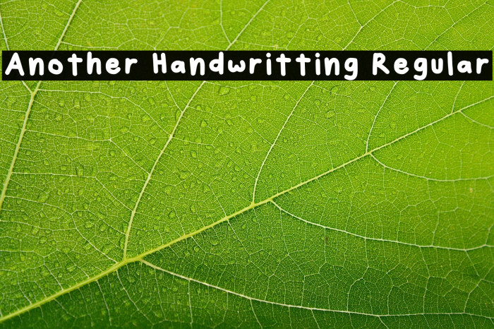 Another Handwritting Regular Example 3