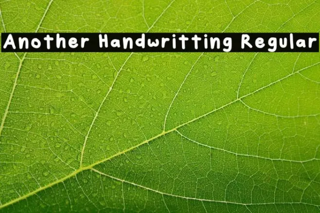Another Handwritting Regular Example 3
