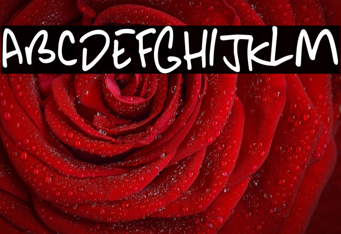 Another Monday DEMO Regular Example 3