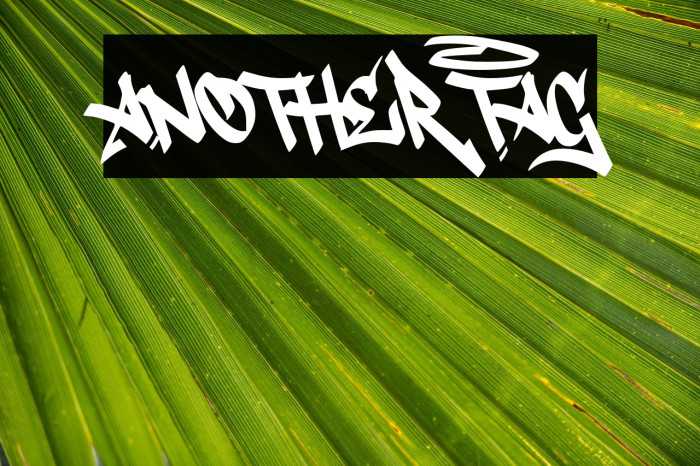 Another Tag Example 2