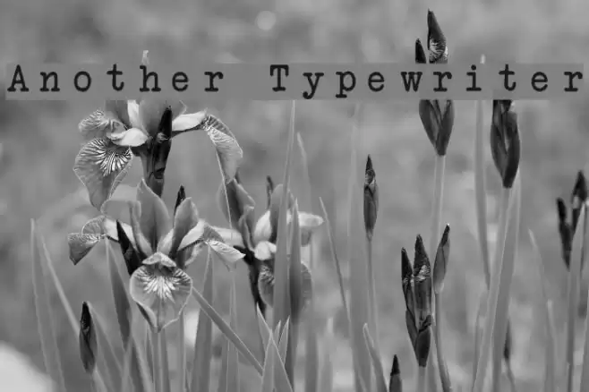 Another Typewriter Font examples