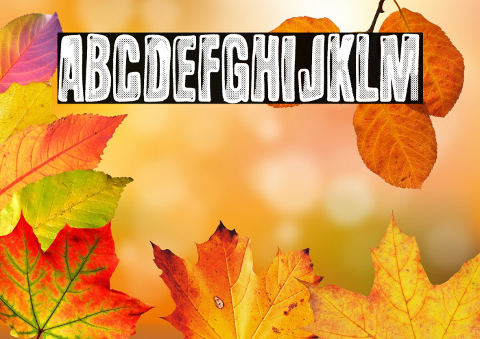 Another Wave Example 1