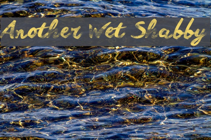 Another Wet Shabby Font examples