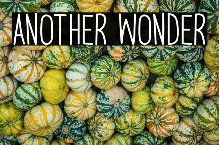 Another Wonder Шрифта examples