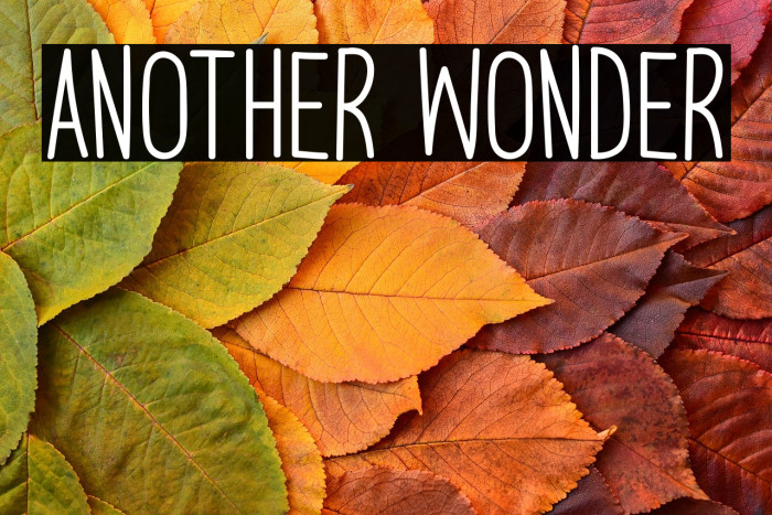 Another Wonder Шрифта examples