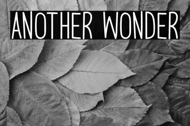 Another Wonder Font examples