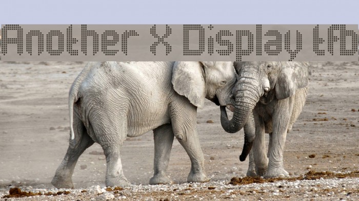 Another X Display tfb Font examples