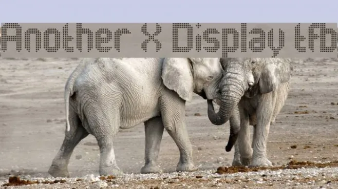 Another X Display tfb Example 3