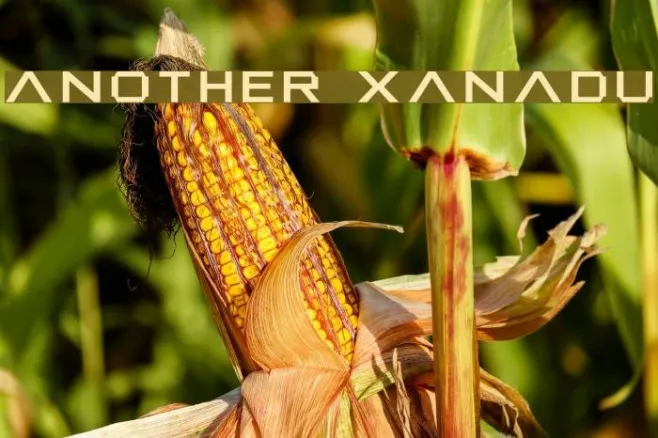 Another Xanadu Example 1