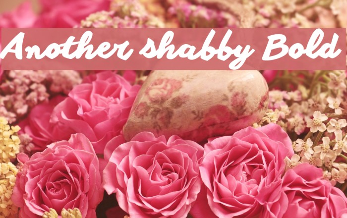 Another shabby Bold Font examples
