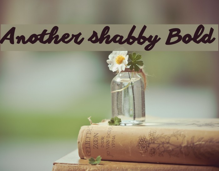 Another shabby Bold Font examples