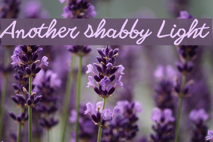 Another shabby Light Font examples