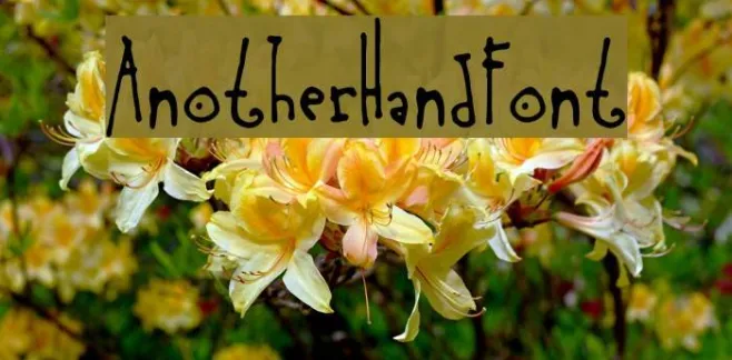 AnotherHandFont Example 1