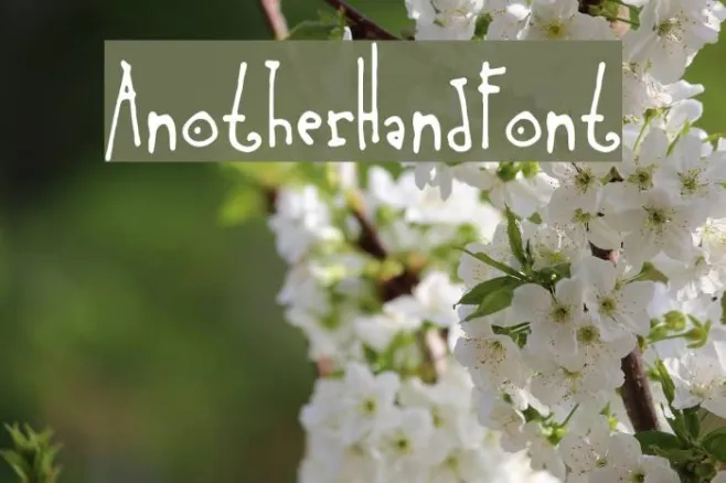 AnotherHandFont Example 2