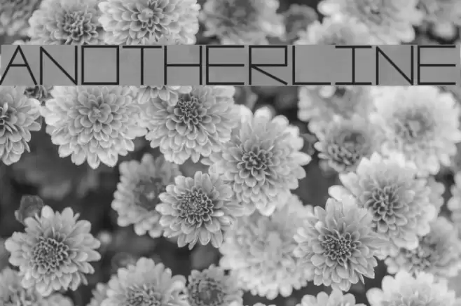 AnotherLine Font examples