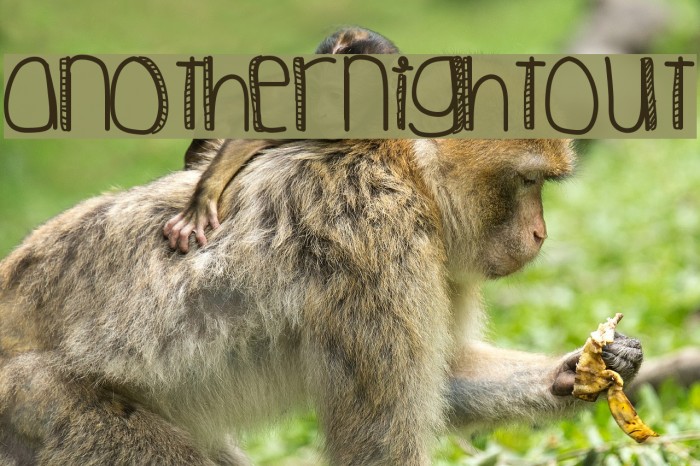 AnotherNightOut Example 1