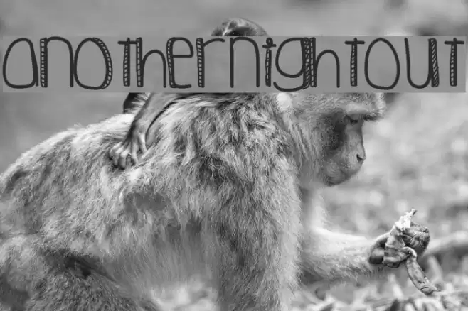 AnotherNightOut Font examples