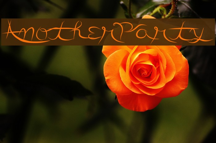 AnotherParty Font examples