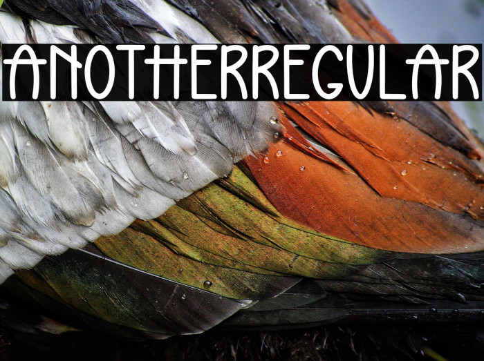 AnotherRegular Example 2