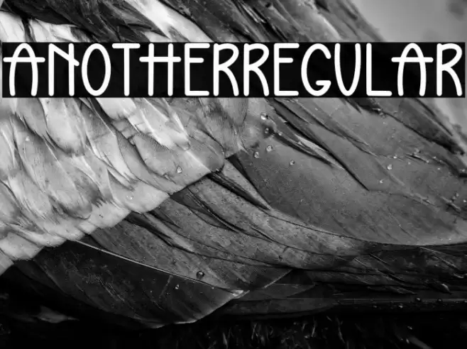 AnotherRegular Font examples