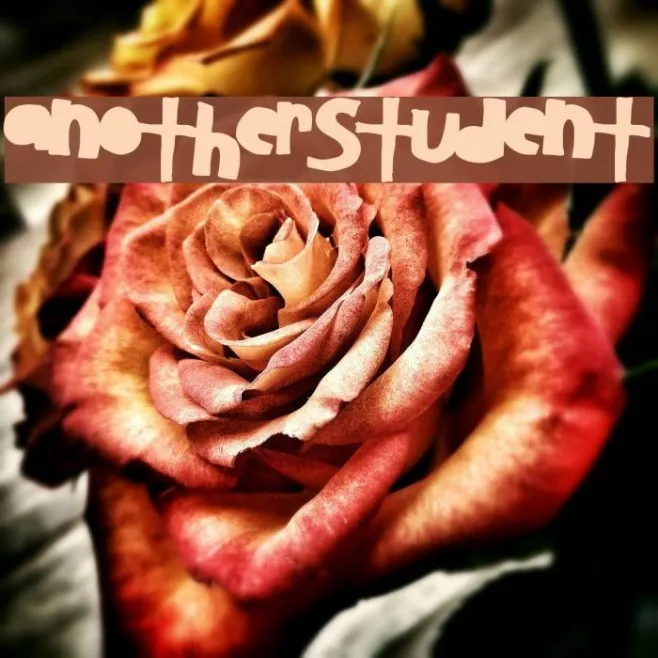 AnotherStudent Example 2