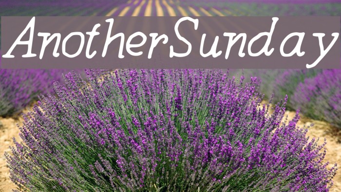 AnotherSunday Font examples