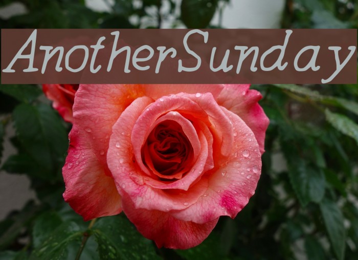 AnotherSunday Font examples