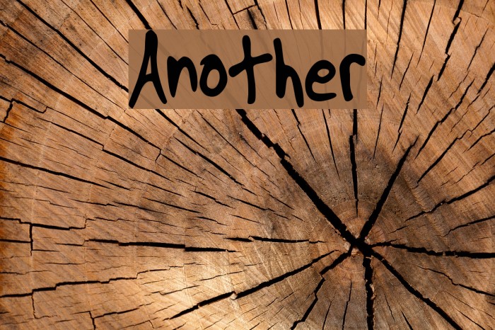Another Font examples