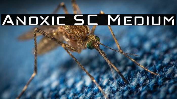 Anoxic SC Medium Example 2