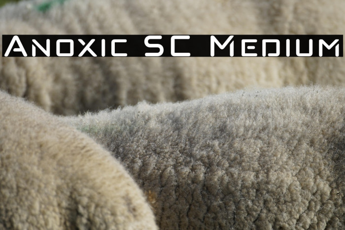 Anoxic SC Medium Example 3