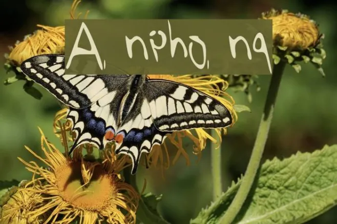 Anphong Example 1