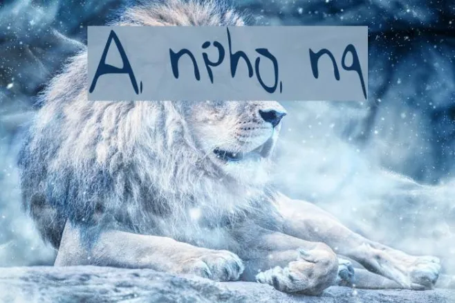 Anphong Example 2