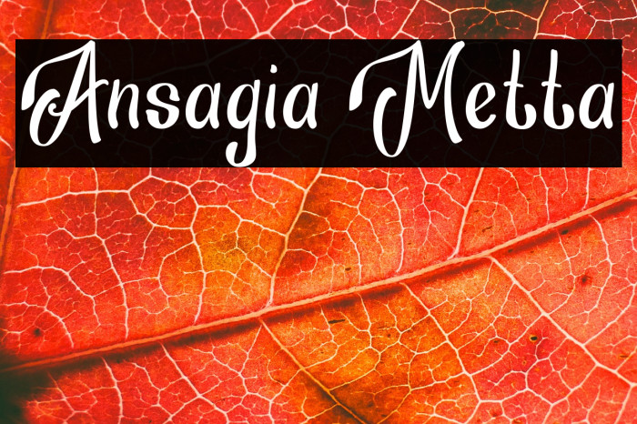 Ansagia Metta Example 3