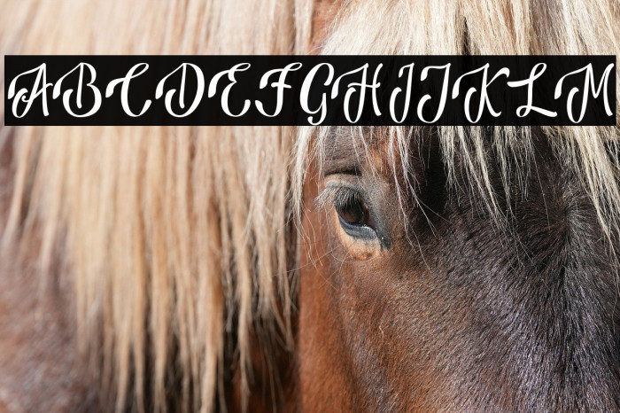 AnsagiaMetta Example 1