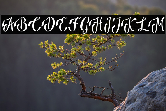 AnsagiaMetta Example 3