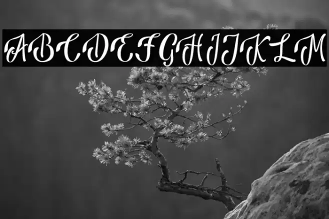 AnsagiaMetta Шрифта examples