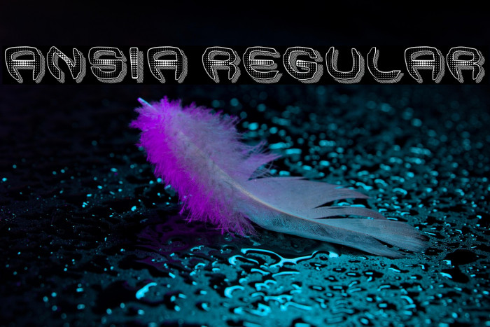 Ansia Regular Example 2